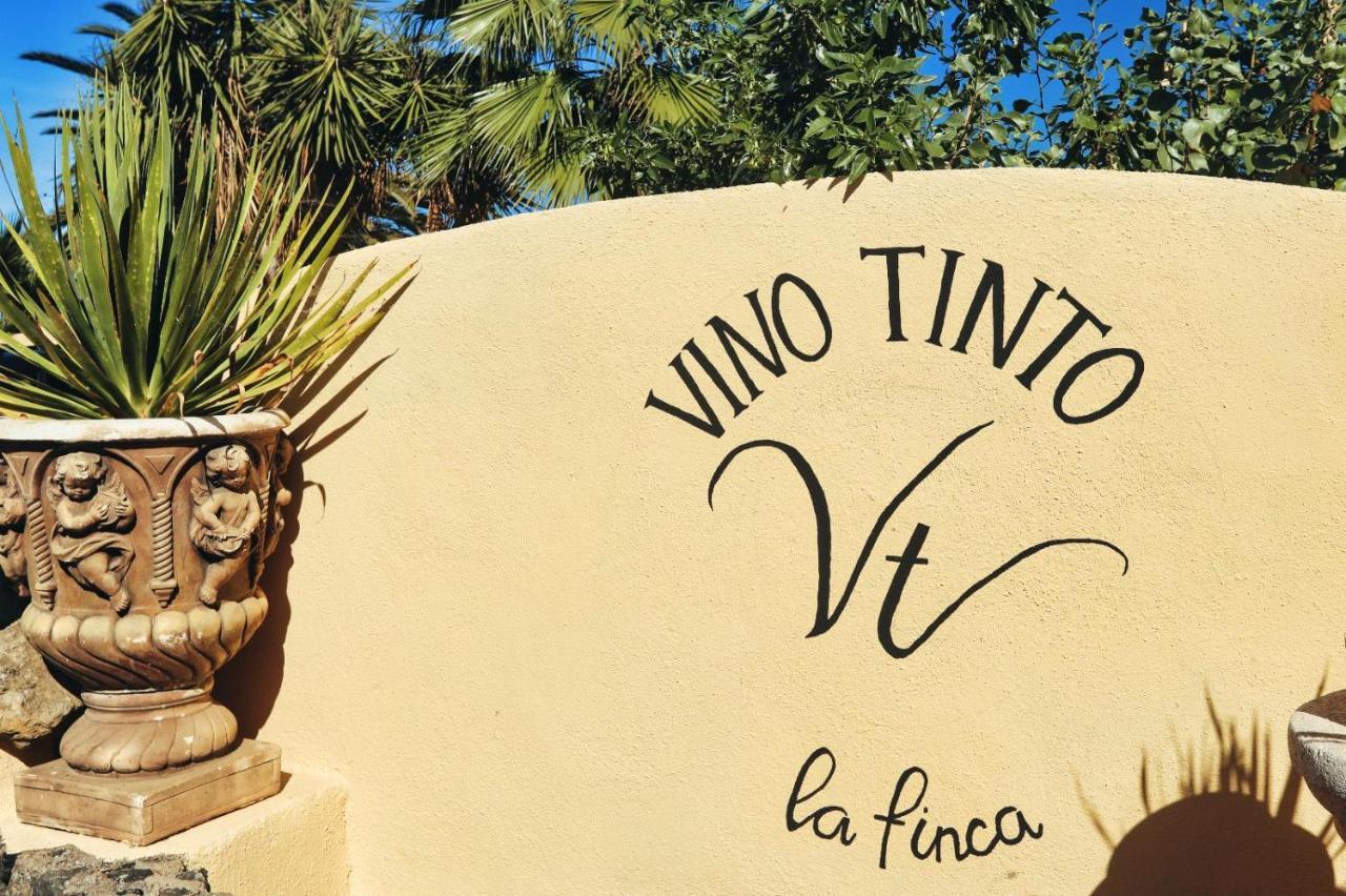 Finca Vino Tinto 5S 이코드레로스비노스 외부 사진